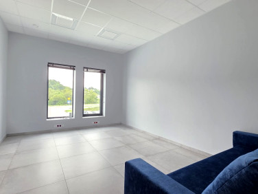 Lokal Rzeszów wynajem