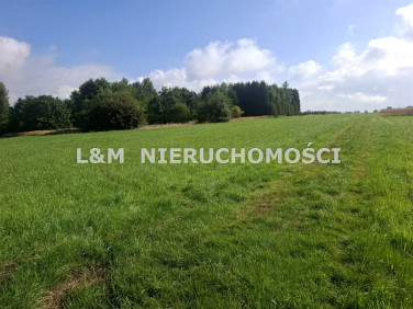 Pusta działka Czerwionka-Leszczyny
