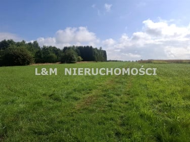 Działka usługowa Czerwionka-Leszczyny