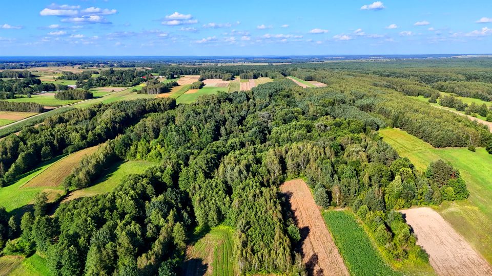 Działka rolna Bystre
