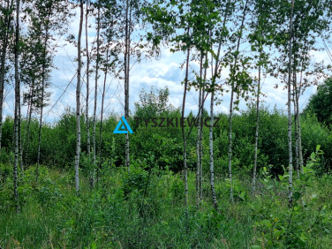 Działka siedliskowa Puc