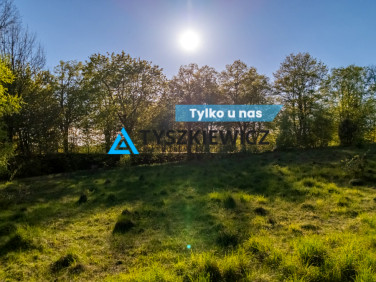 Działka przy lesie