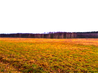 Działka rolna Danków sprzedam