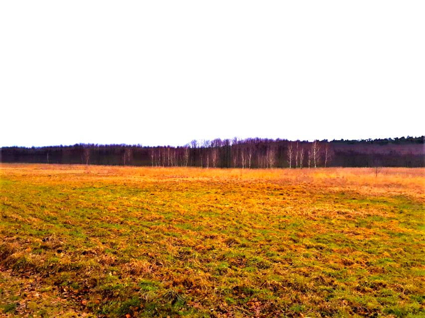 Działka rolna Danków sprzedam