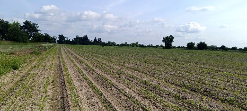Działka rekreacyjna Bronisławów sprzedam