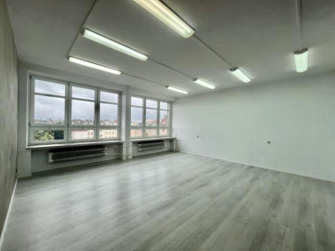 Lokal Opole