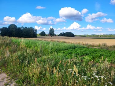 Działka budowlana Gowidlino
