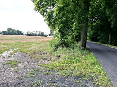 Działka Grzebienisko