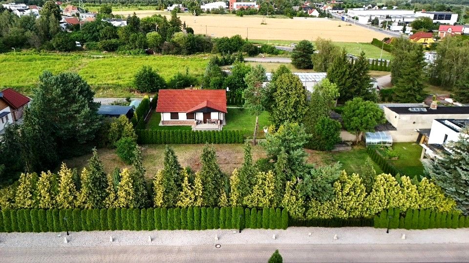 Działka przy lesie