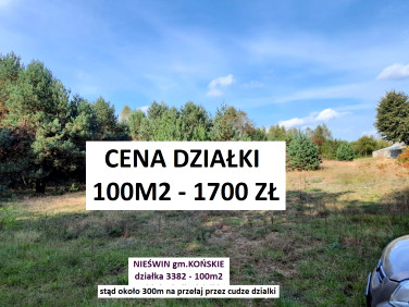 Działka rolna Nieświń