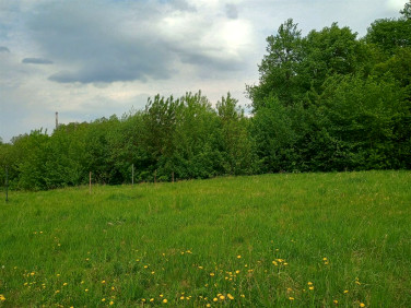 Działka inna Konstantynów Łódzki