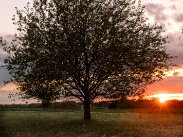 Działka Bogdaszowice