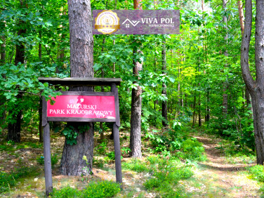 Ogrodzona działka Spychowo