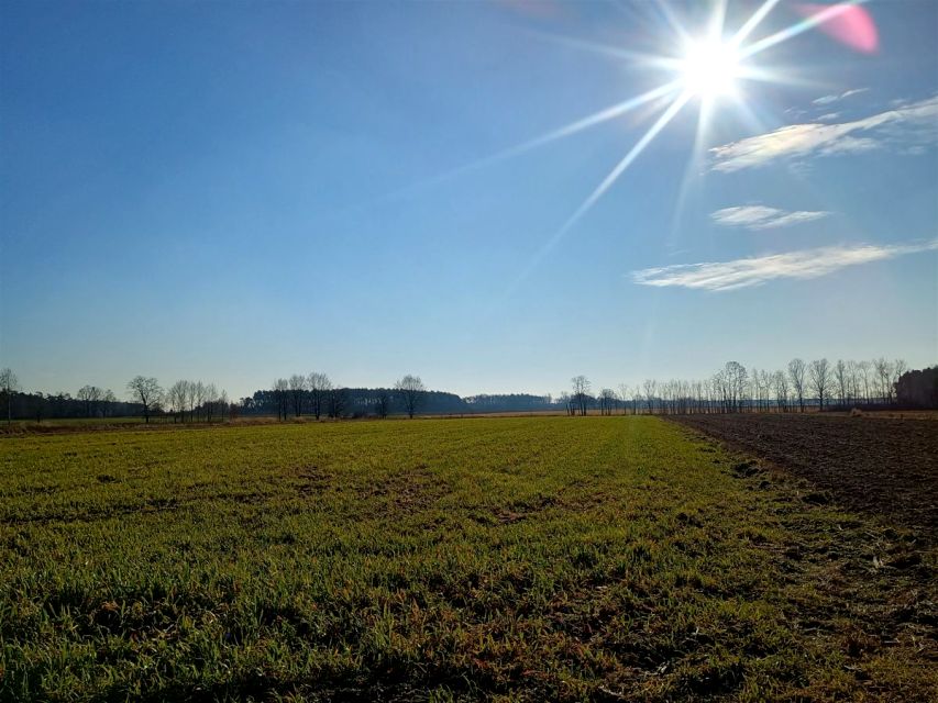 Działka budowlana Lutomiersk