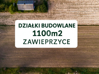 Działka Zawieprzyce-Kolonia