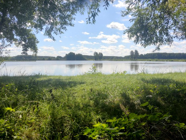 Działka Skoroszów