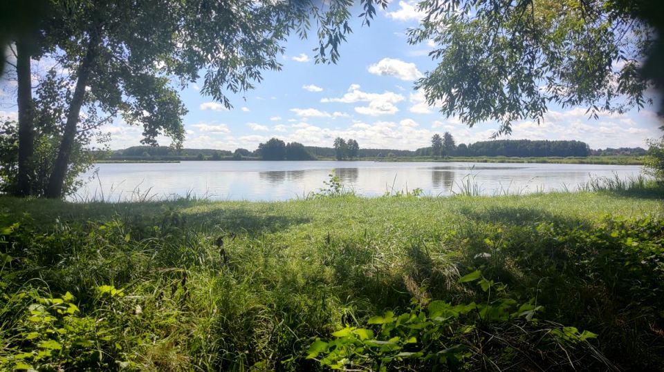 Działka Skoroszów