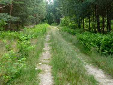 Działka budowlana Mauryców