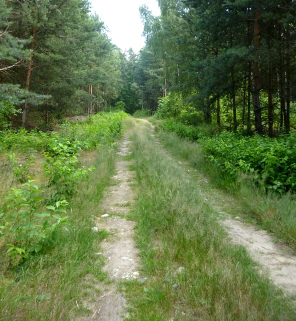 Działka budowlana Mauryców