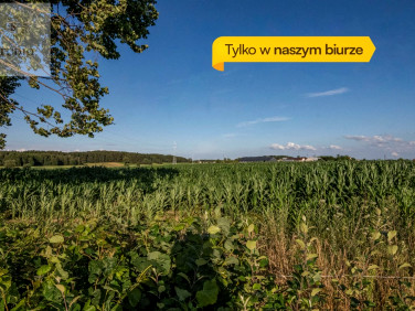 Działka rolna Szerenosy