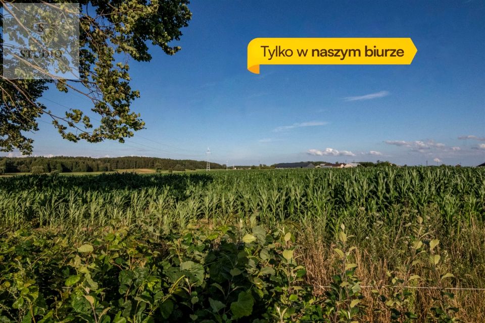 Działka rolna Szerenosy