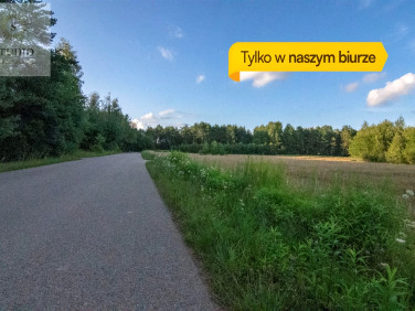 Działka rolna Borowskie Cibory