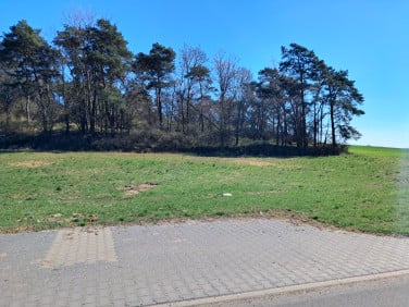 Działka budowlana Sękowo