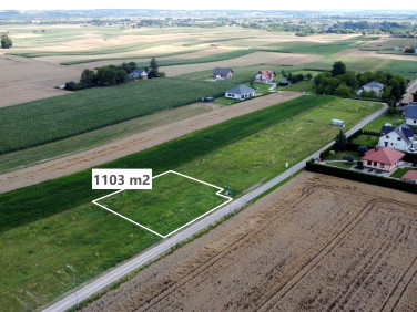 Działka Studzian