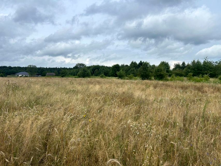 Działka budowlana Poznań