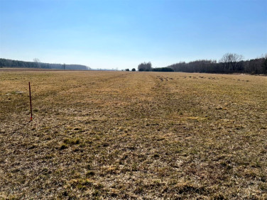 Działka inna Lutomiersk