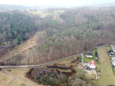 Działka przy lesie
