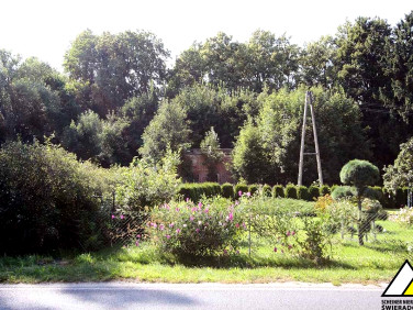 Działka budowlana Orłowice