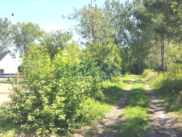 Działka budowlana Słubica Dobra sprzedam