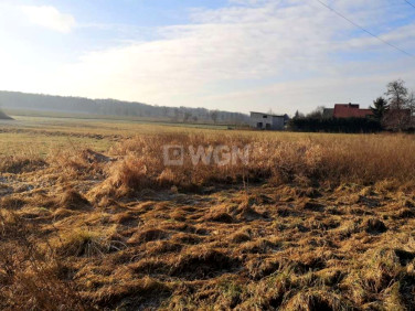Działka Zbylutów