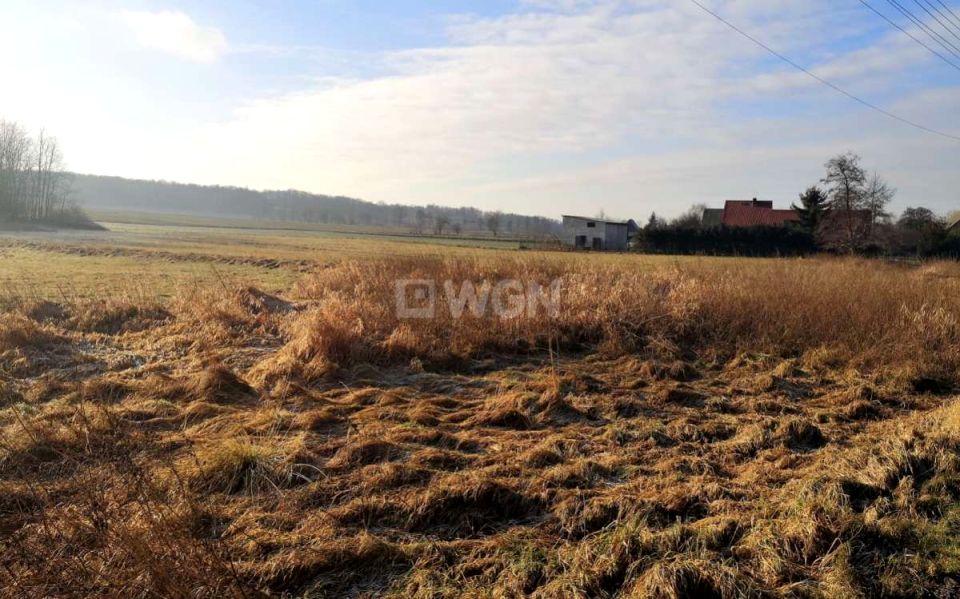 Działka Zbylutów