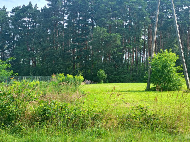 Działka budowlana Chwałowice