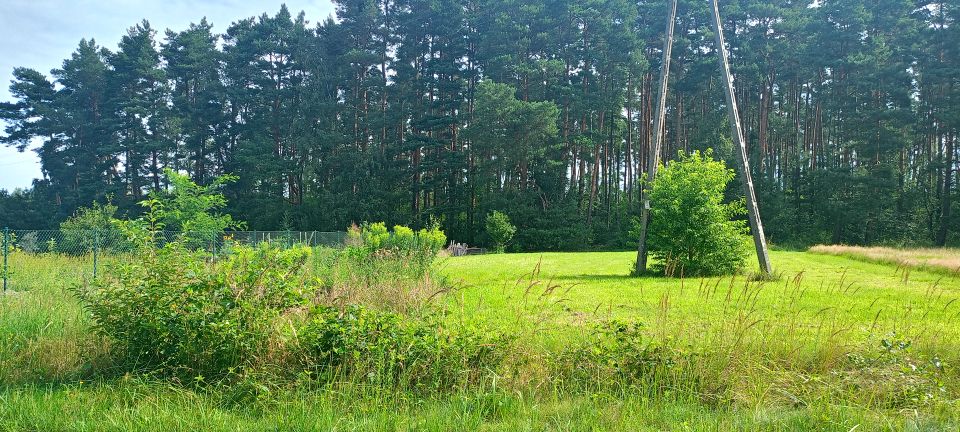 Działka budowlana Chwałowice