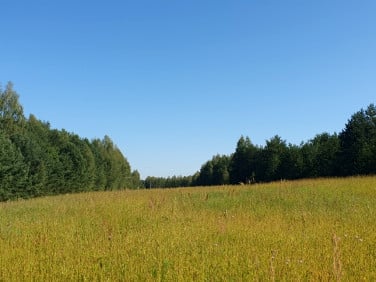 Działka budowlana WÓLKA RATOWIECKA sprzedam