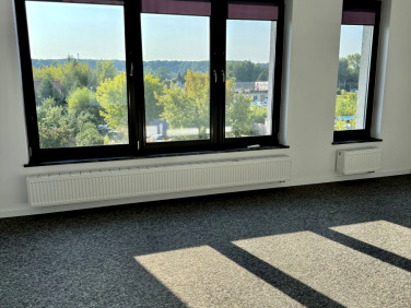 Lokal Wrocław