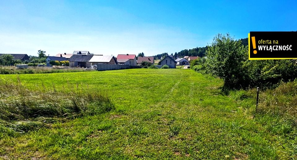 Zdjęcie 2