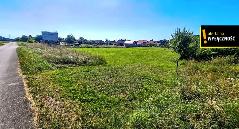 Zdjęcie 3