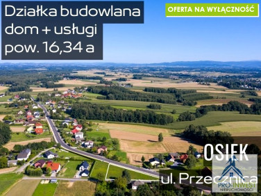 Działka Osiek