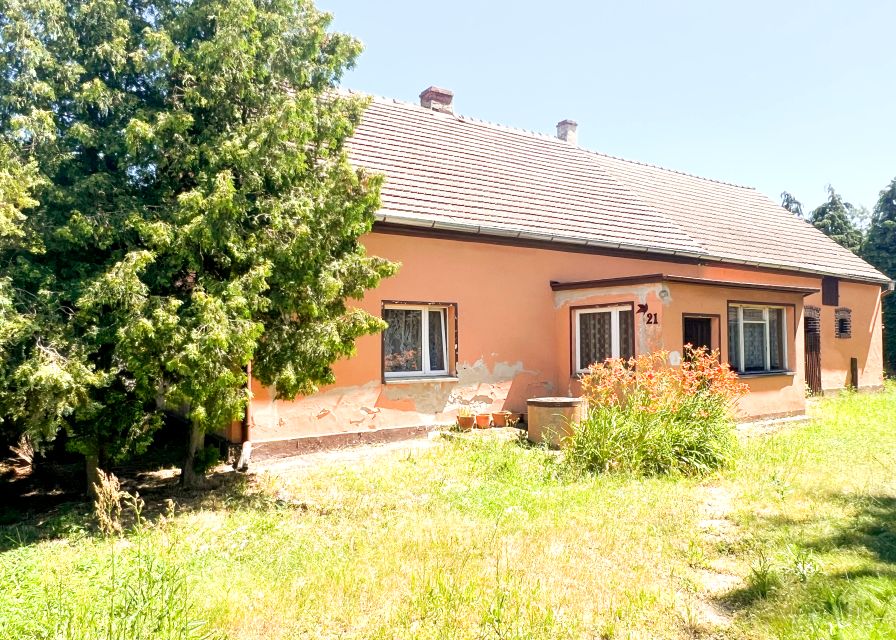 Dom Niesiebędowice