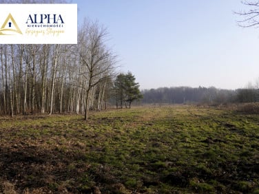 Działka budowlana sprzedam