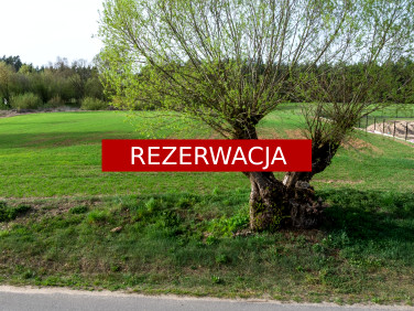 Działka Gorzewo