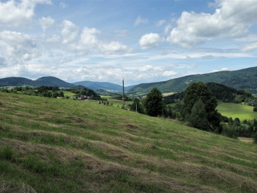 Działka Skrzydlna