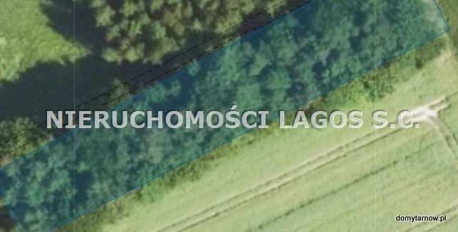 Działka rolna Skrzyszów