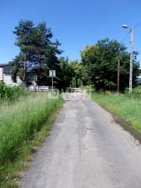 Zdjęcie 3