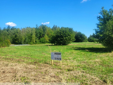 Działka RADOMSKO