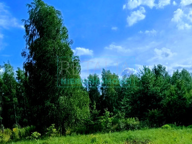 Działka budowlana Kozerki